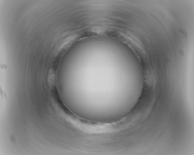 X0000091310036200708101511