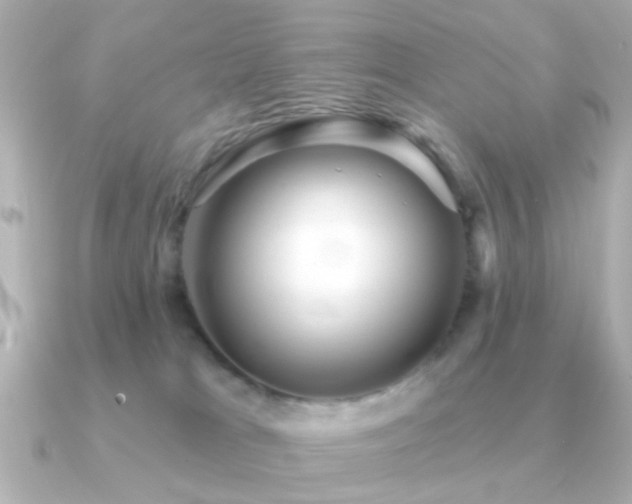 X0000091310037200708101511