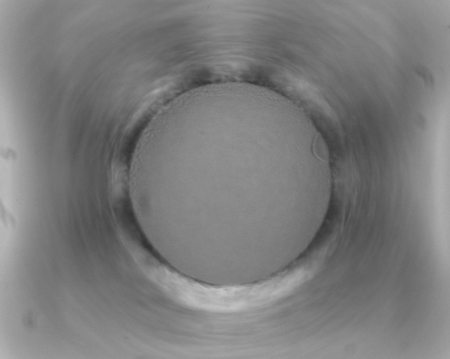 X0000091310038200708101511