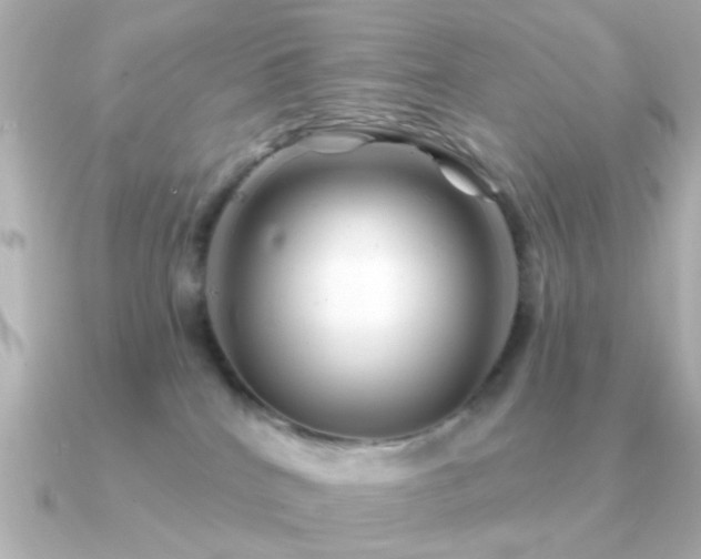 X0000091310040200708101511