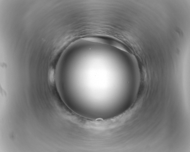 X0000091310041200708101511