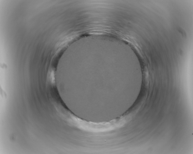 X0000091310042200708101511