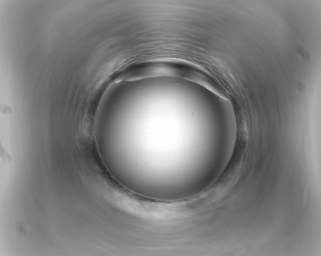 X0000091310044200708101511