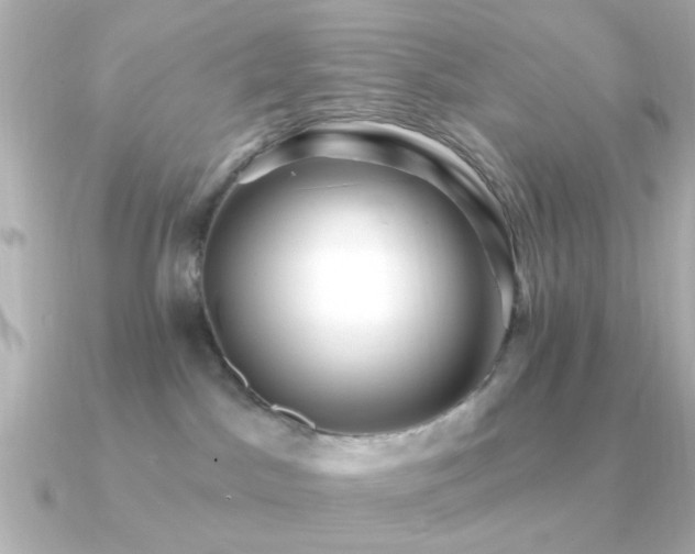 X0000091310045200708101511