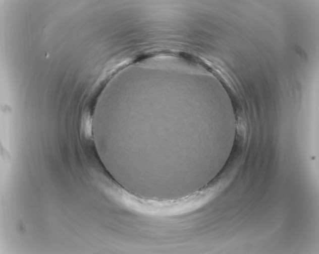 X0000091310046200708101511