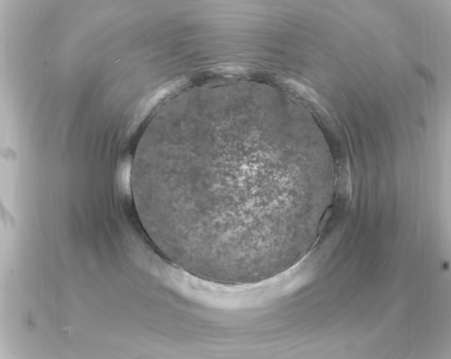 X0000091310047200708101511