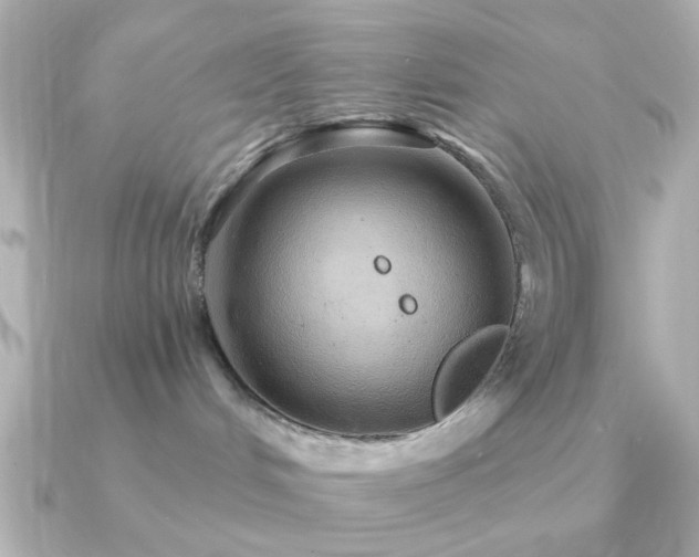 X0000091310048200708101511