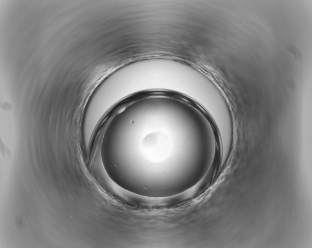 X0000091310049200708101510