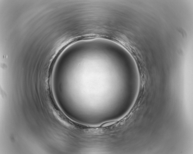 X0000091310050200708101510