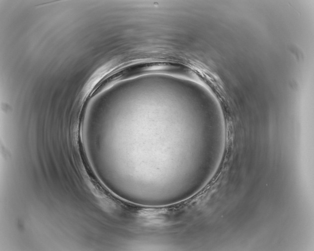 X0000091310051200708101510