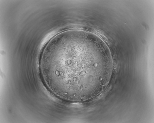 X0000091310053200708101510