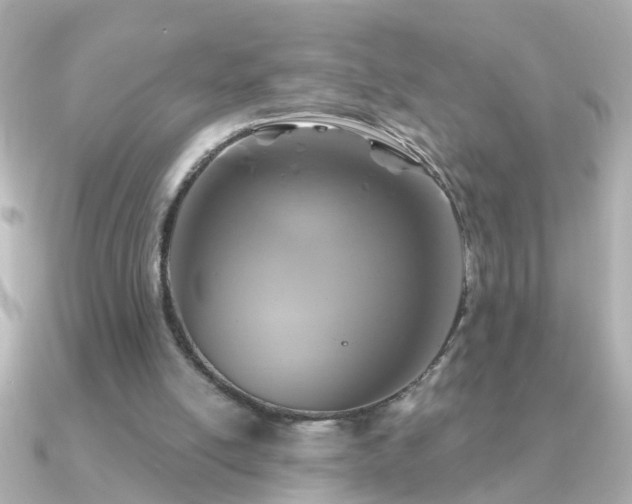 X0000091310054200708101510