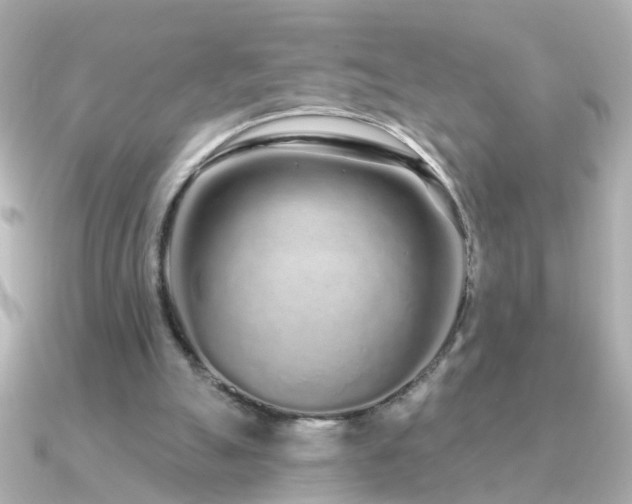 X0000091310055200708101510