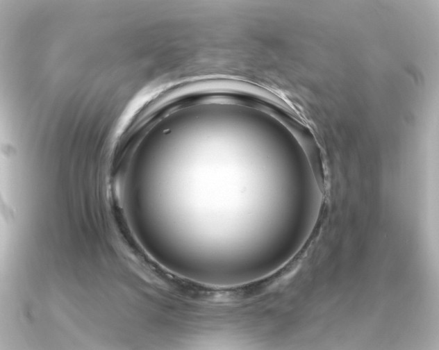 X0000091310056200708101511