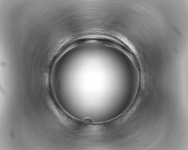 X0000091310057200708101511