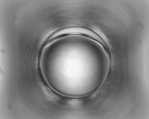 X0000091310058200708101511