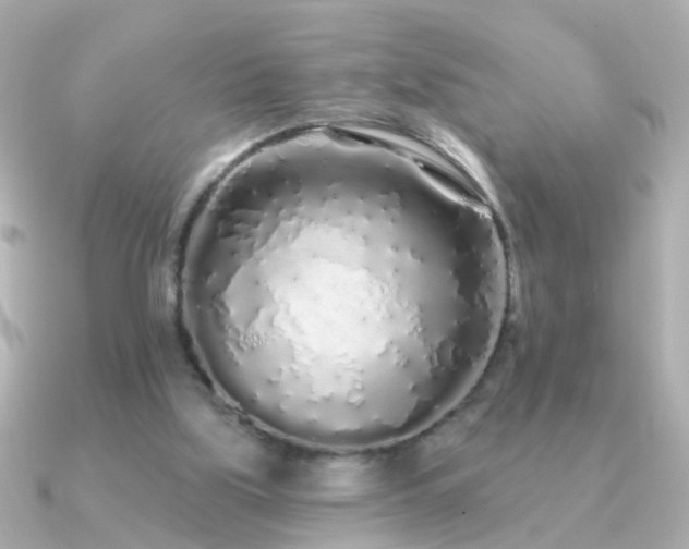 X0000091310059200708101511