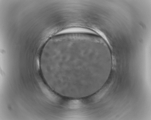 X0000091310061200708101511