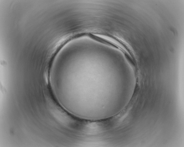 X0000091310062200708101511