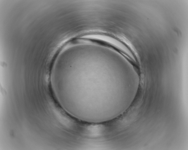 X0000091310063200708101511