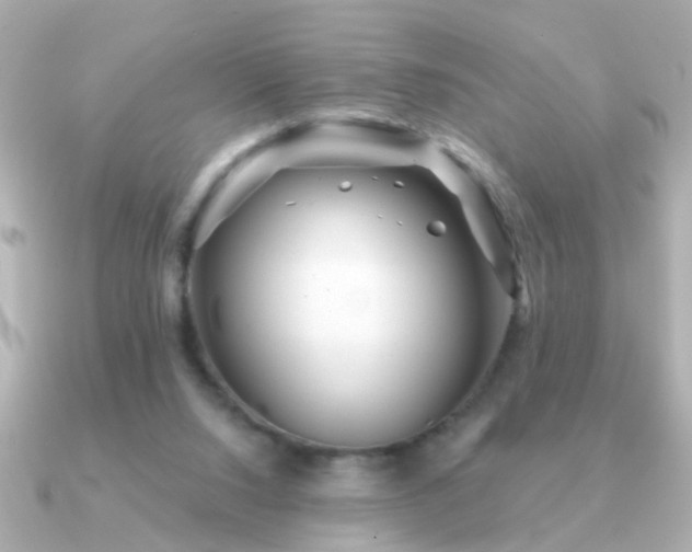 X0000091310064200708101511