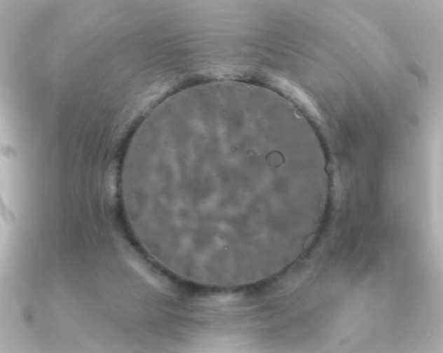 X0000091310065200708101511