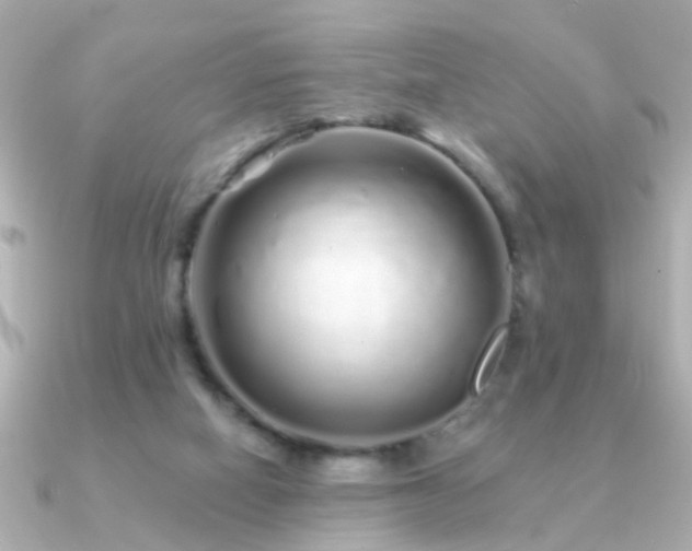 X0000091310066200708101511