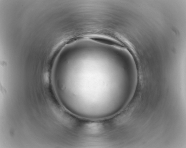 X0000091310067200708101511