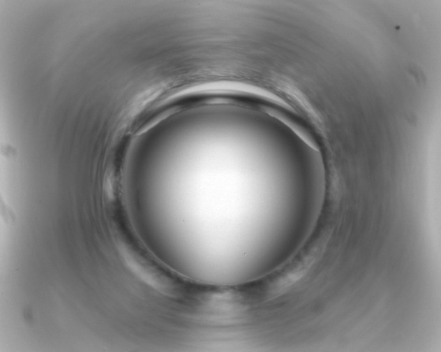 X0000091310068200708101511