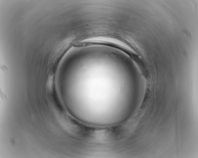 X0000091310070200708101511