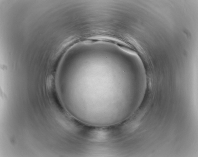 X0000091310071200708101511