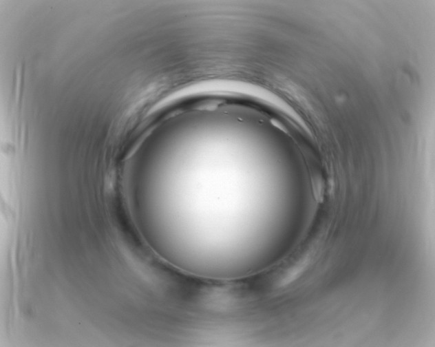 X0000091310072200708101511