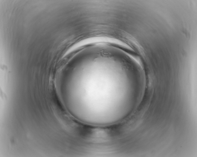 X0000091310073200708101511