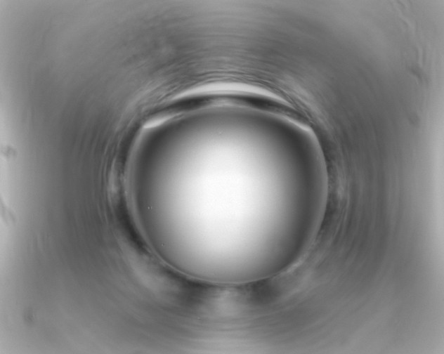 X0000091310074200708101511