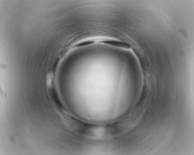 X0000091310075200708101511