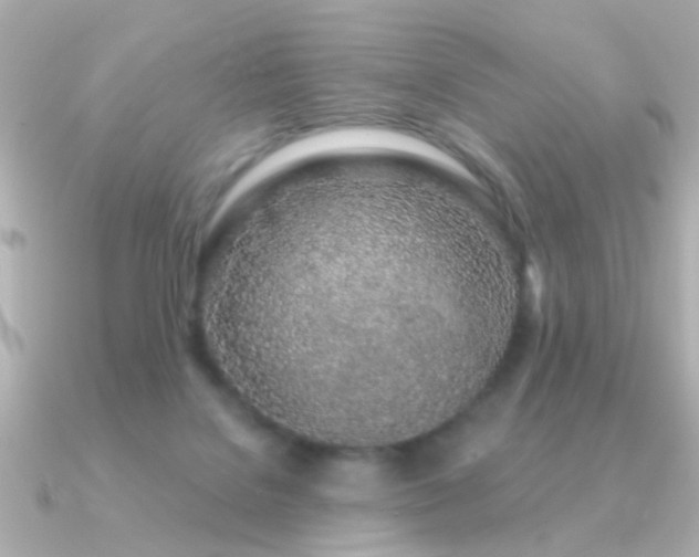 X0000091310076200708101511