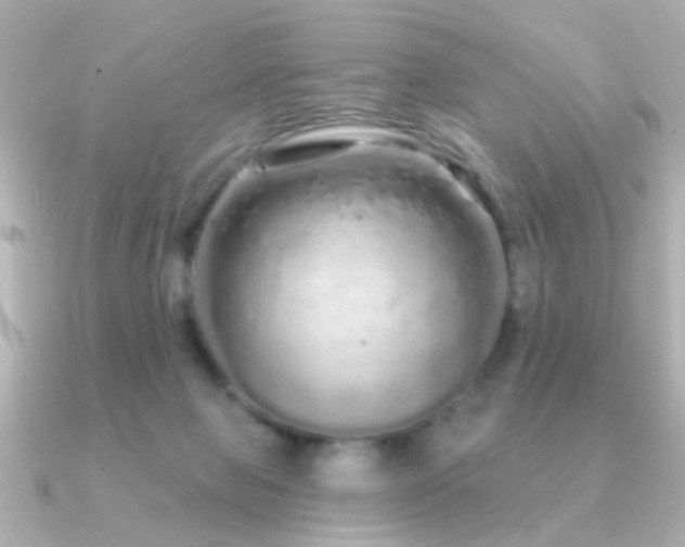 X0000091310077200708101511