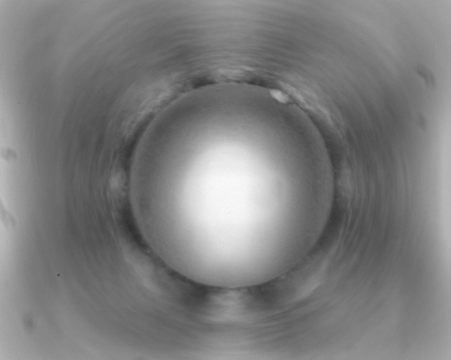 X0000091310079200708101511