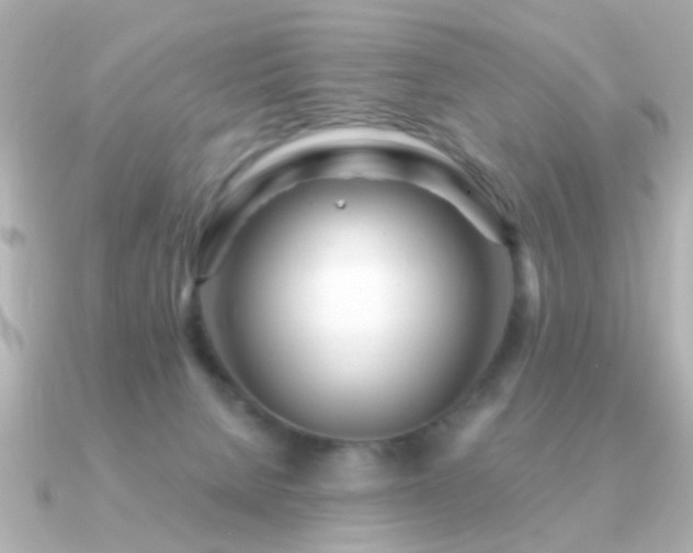 X0000091310080200708101511