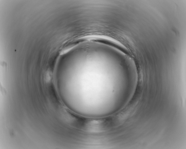 X0000091310081200708101511