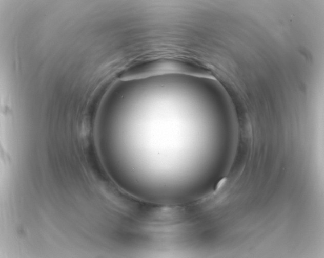 X0000091310082200708101511