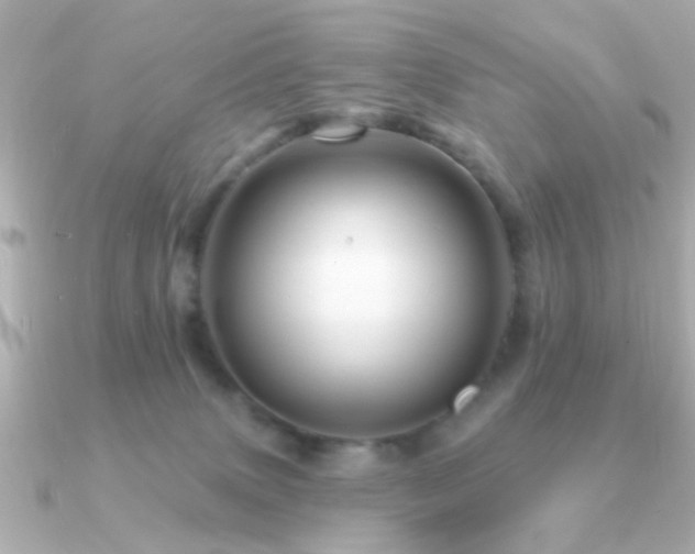 X0000091310083200708101511