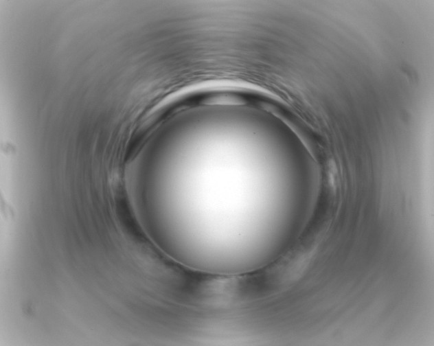 X0000091310084200708101511