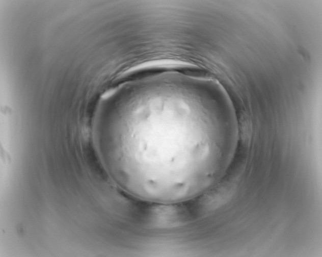 X0000091310085200708101511