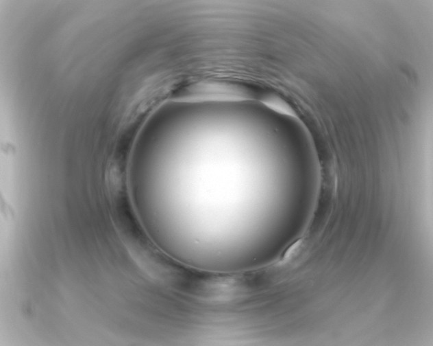 X0000091310086200708101511