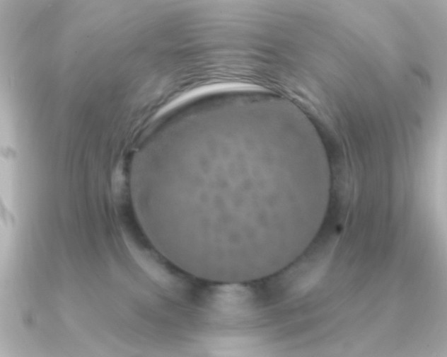 X0000091310087200708101511