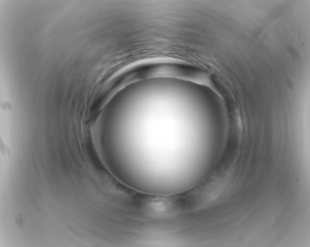 X0000091310088200708101511