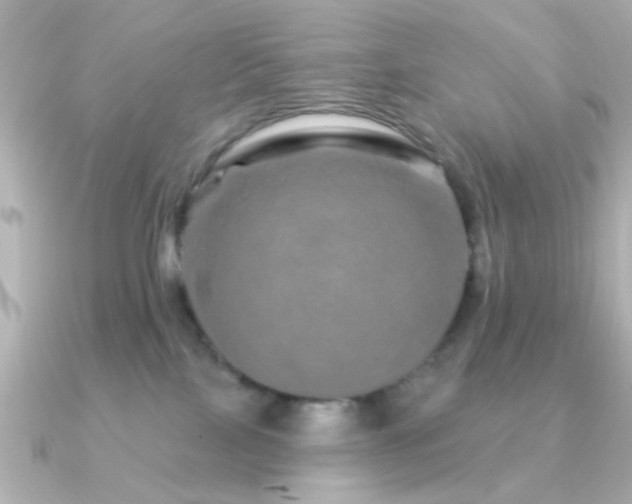 X0000091310089200708101511