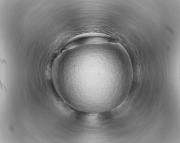 X0000091310090200708101511