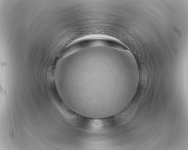 X0000091310091200708101511